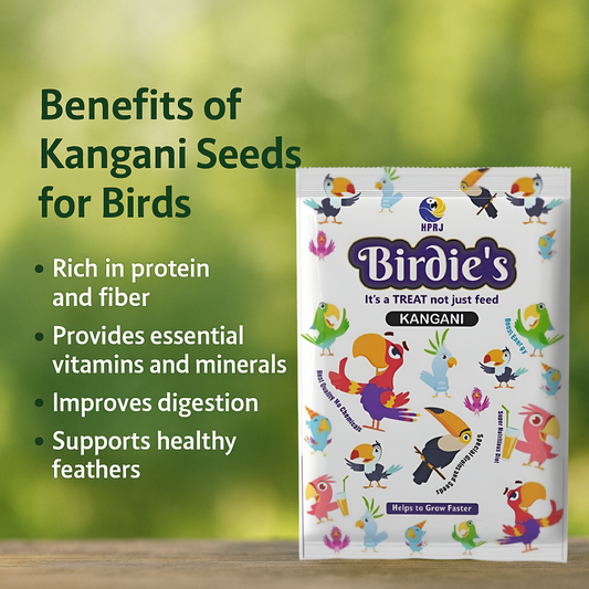 Birdie's Premium Kangani Seeds 1KG | Bird Food for Small & Medium Birds | 100% Natural, Gluten-Free, Chemical-Free | Immune Support Formula