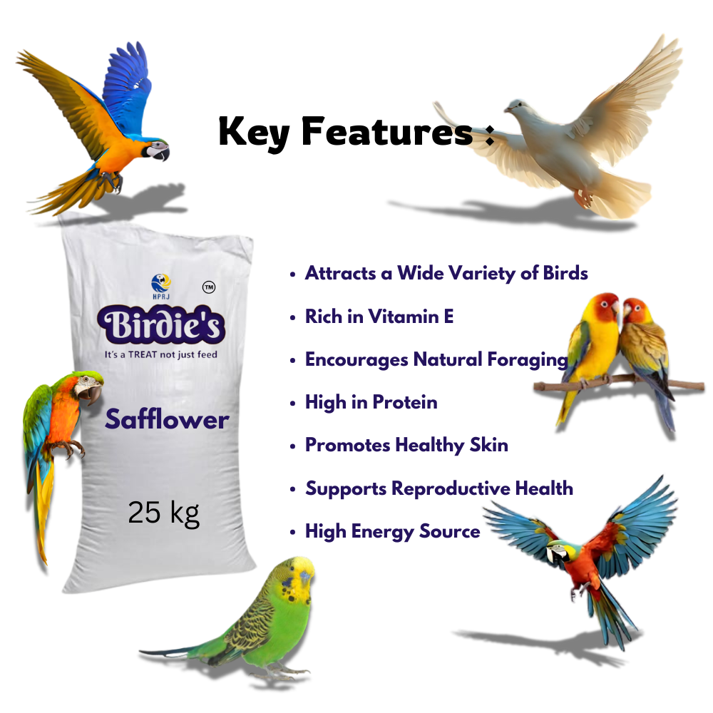 Birdie's Safflower Seed (Kusum Dana), Bird Food for All Types of Birds, 25 kg Bulk Bag
