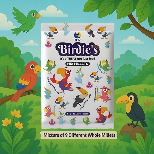 Birdie's Combo of Mix Millet (KANGANI) 1kg + 1kg Mix Seeds for Big Size Birds (Cockatoo, Macaw & African Grey), 100% Natural, Veterinary Approved