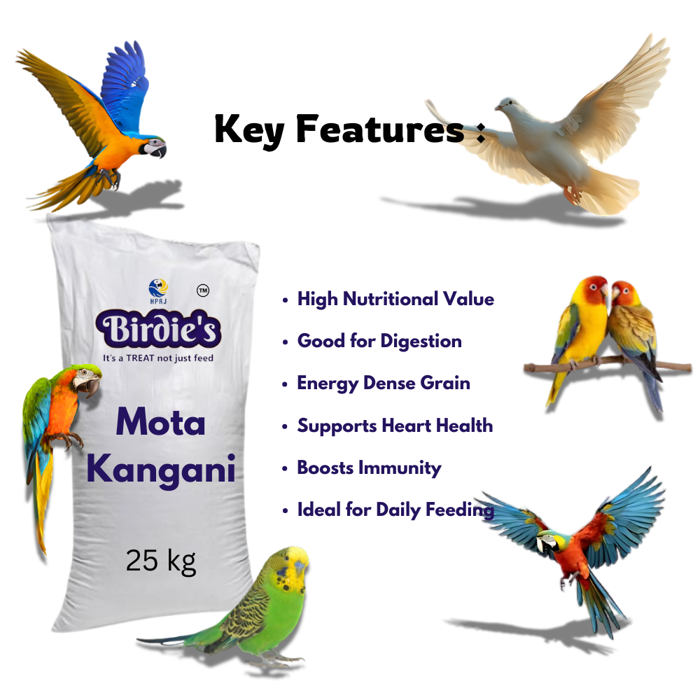 Birdie's Mota Kangani , Bird Food for Medium to Big size Birds , 25 Kg Bulk Bag