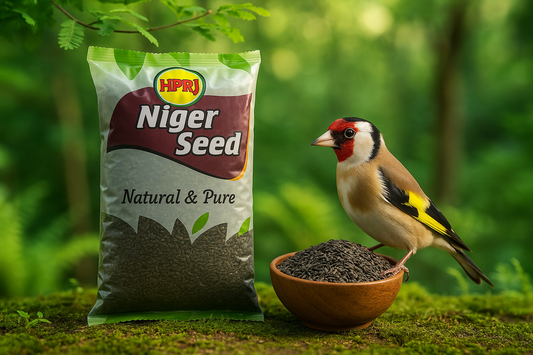 HPRJ Birdie's Niger Seeds Food Birds (Finch, Lovebird, Budgies, Cokatiel, Parakeet, Conure, Cockatoo & Macaw) - (1Kg), High Fat, 100% Natural - Chemical Free, Veterinary Approved - All Life Stages
