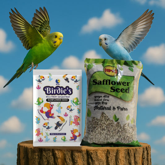 Birdie's Combo of Sunflower(Big Bird) 500g + 1 Kg Safflower Seeds Birds (Lovebird, Budgies, COKATIEL, Parakeet, Conure, Cockatoo, Macaw & African Grey), 100% Natural and Chemical Free