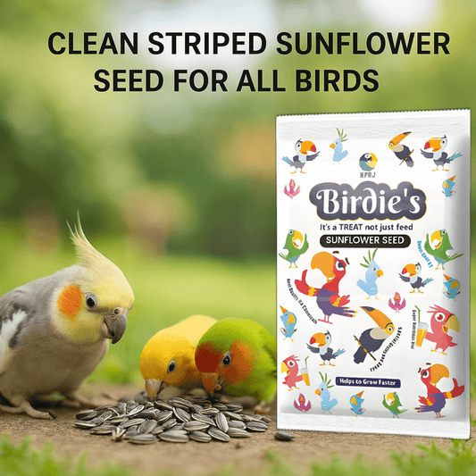 Birdie's Combo of Sunflower Seeds 500g + Safflower Seeds 1Kg + 1Kg Mix Millet (KANGANI) Birds (Lovebird, Budgies, COKATIEL, Parakeet, Conure, Cockatoo, Macaw & African Grey), 100% Natural.