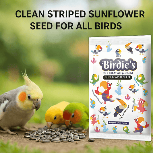 Birdie's Combo of Sunflower Seeds 500g + 1Kg Mix Seeds for Big Birds (Cockatoo, Macaw & African Grey), 100% Natural and Chemical Free, Veterinary Approved