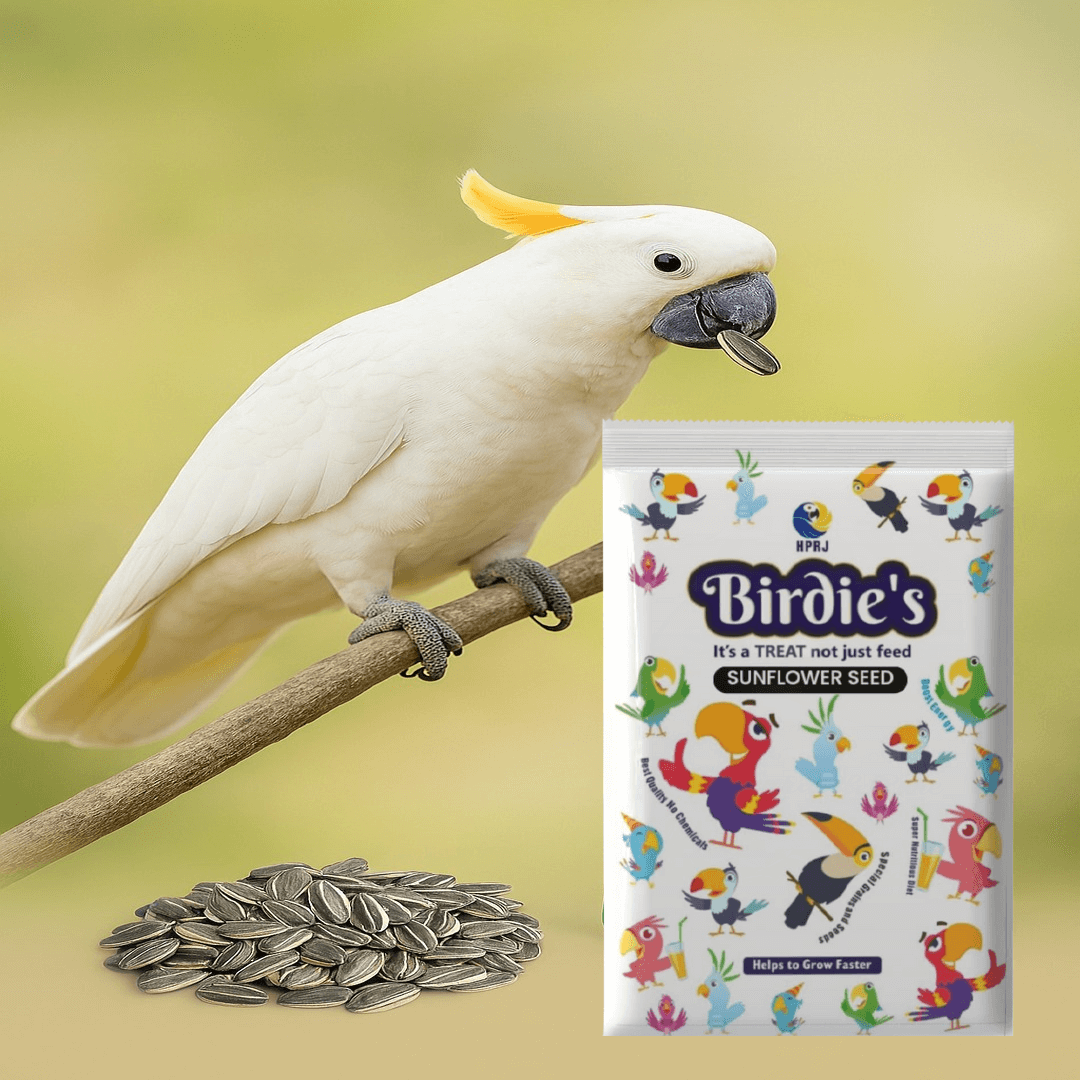 Birdie's Premium Sunflower Seed | High-Energy for Parrot, Macaw, Cockatiel, African Grey 0.5 kg Dry Adult, Senior, Young Bird Food