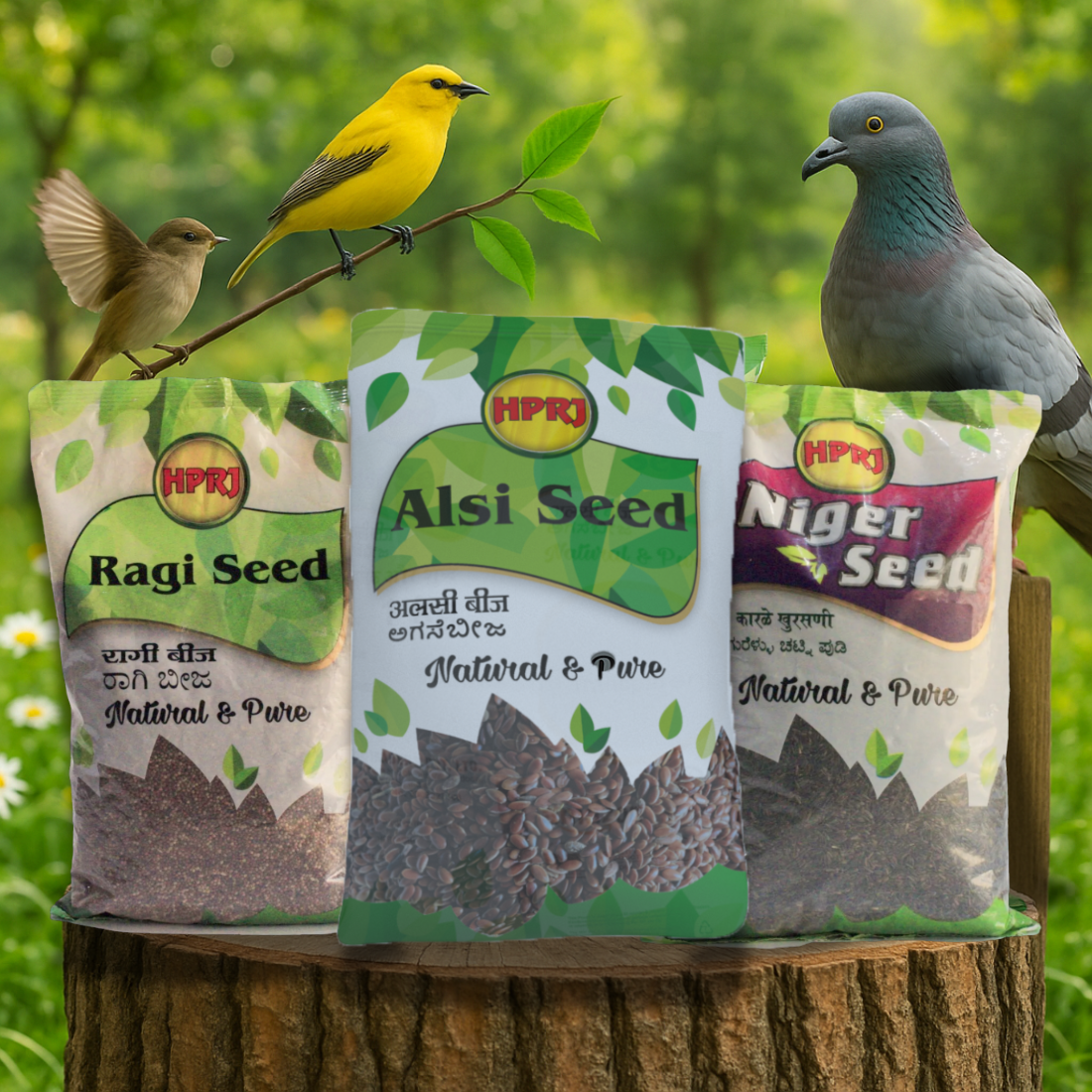 Birdie's Combo of Alsi Seeds (Flax Seed) 1Kg + 1Kg Niger Seed + 1Kg Ragi Seeds (Finger Millet) Birds (Lovebird, Budgies, COKATIEL, Parakeet, Conure, Cockatoo, Macaw & African Grey).
