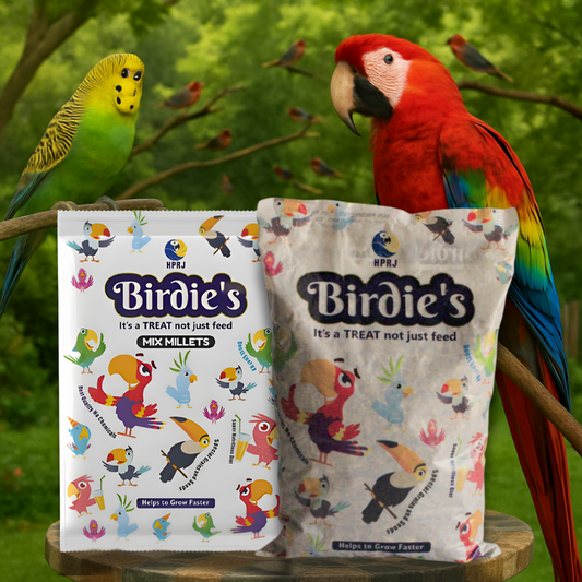 Birdie's Combo of Mix Millet (KANGANI) 1kg + 1kg Mix Seeds for Big Size Birds (Cockatoo, Macaw & African Grey), 100% Natural, Veterinary Approved