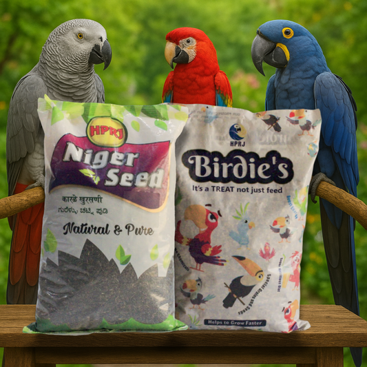 Birdie's Combo of Niger Seeds 1Kg + 1Kg Mix Seeds for Big Size Birds (Cockatoo, Macaw & African Grey), Chemical Free, 100% Natural, Veterinary Approved