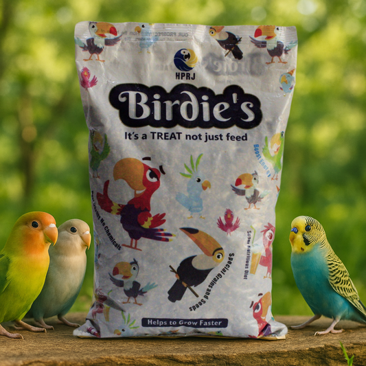 Birdie's Mix Seeds Food for All Small Size Birds (Lovebird & Budgies) - (1Kg), High Nutritious, 100% Natural - Chemical Free, Strengthen Feather, Stronger Bone, Veterinary Approved.