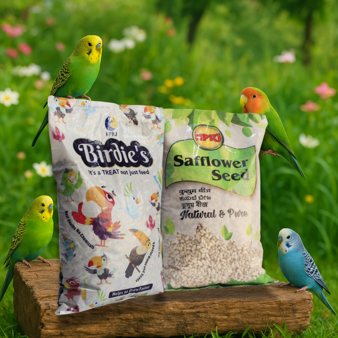Birdie's Combo of Safflower Seeds 1Kg + 1Kg Mix Seeds for Small Size Birds (Lovebird & Budgies), 100% Natural and Chemical Free, Veterinary Approved