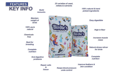 Birdie's Mix Seeds Food for All Small Size Birds (Lovebird & Budgies) - (1Kg), High Nutritious, 100% Natural - Chemical Free, Strengthen Feather, Stronger Bone, Veterinary Approved.