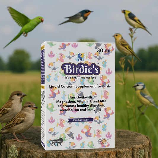 Birdie’s Liquid Calcium Supplement for Birds | 30 ml | With Magnesium, Vitamin E & AD3 | Supports Bone Strength, Immunity & Digestion