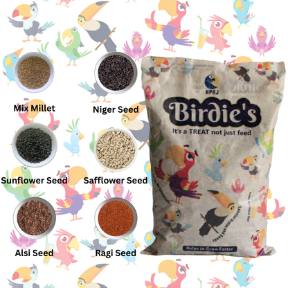 Birdie's Combo of Alsi Seeds 1Kg + 1Kg Mix Seeds for Medium Size Birds +1Kg Mix Seeds for Big Size Birds (COKATIEL, Parakeet, Conure, Cockatoo, Macaw & African Grey ), Chemical Free, 100% Natural.