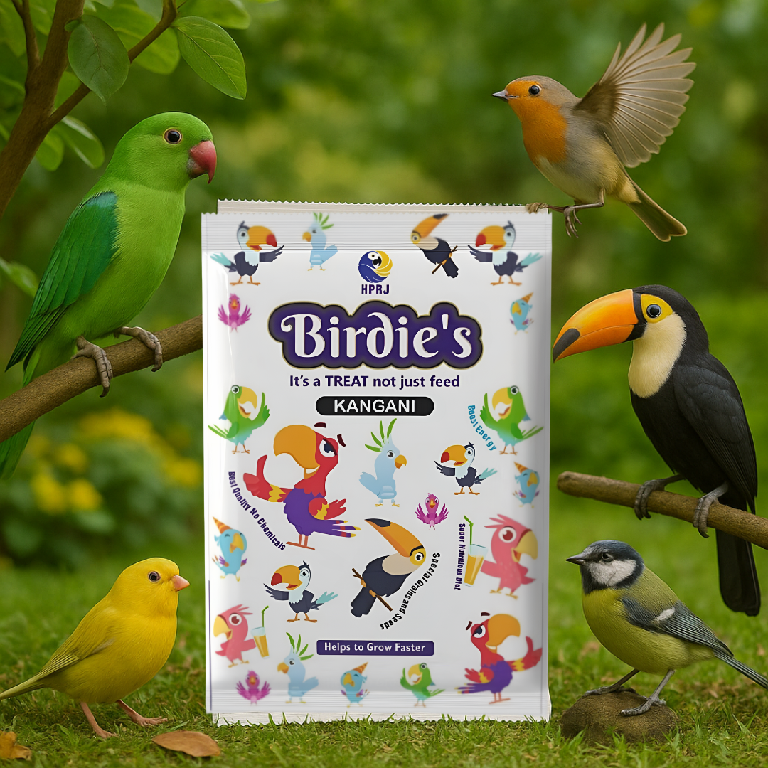 Birdie's Premium Kangani Seeds 1KG | Bird Food for Small & Medium Birds | 100% Natural, Gluten-Free, Chemical-Free | Immune Support Formula