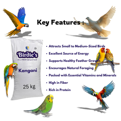 Birdie's Kangani Bird Food, 25 kg Bulk Bag