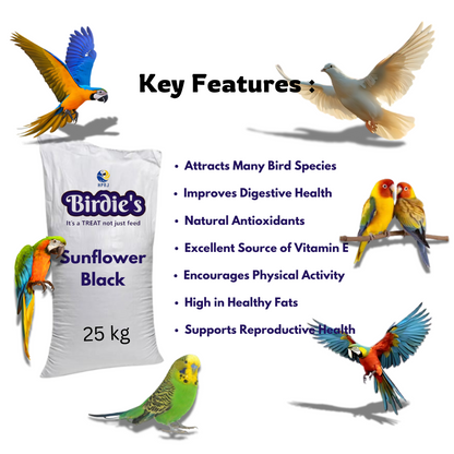 Birdie's Sunflower Black Seed, Bird Food for All Types of Birds, 25 kg Bulk Bag