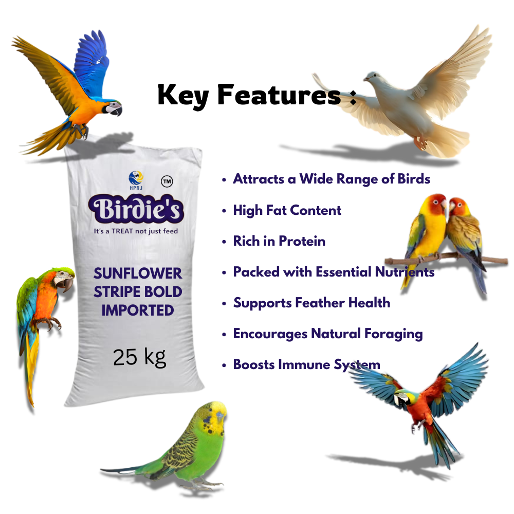 Birdie's Sunflower Stripe Bold Imported Seeds,Bird Food for All Types of Birds, 25 kg Bulk Bag
