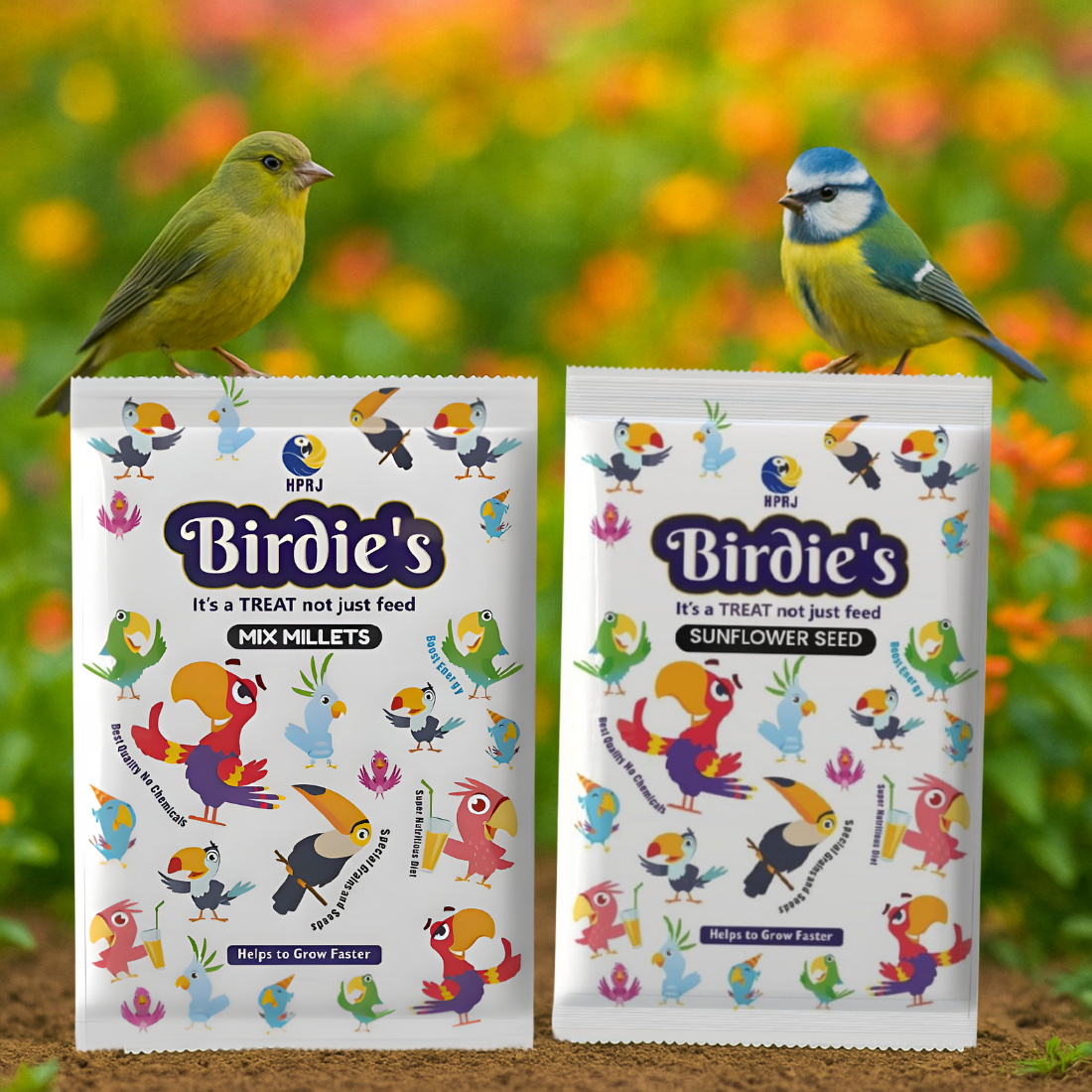 Birdie's Combo of Sunflower Seed 500g + 1Kg Mix Millet(KANGNI) Birds(Lovebird, Budgies, COKATIEL, Parakeet, Conure, Cockatoo, Macaw & African Grey) 100% Natural & Chemical Free