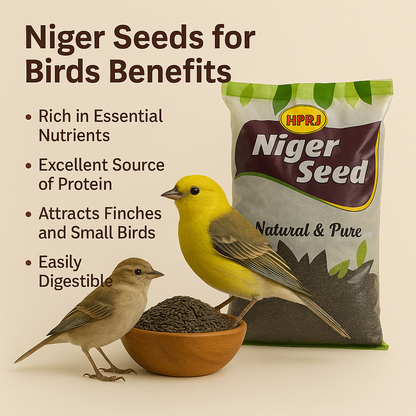 HPRJ Birdie's Niger Seeds Food Birds (Finch, Lovebird, Budgies, Cokatiel, Parakeet, Conure, Cockatoo & Macaw) - (1Kg), High Fat, 100% Natural - Chemical Free, Veterinary Approved - All Life Stages