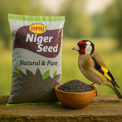 Birdie's Combo of Alsi (Flax) 1KG + 1KG Niger Seed (Black Seed) Food Birds (Lovebird, Budgies, COKATIEL, Parakeet, Conure, Cockatoo & Macaw), Chemical Free & 100% Natural