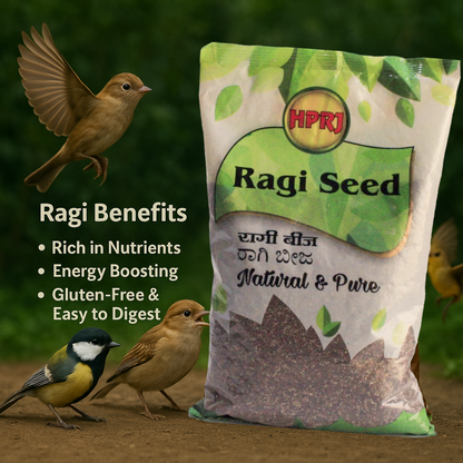 Birdie's Combo of Alsi Seed (Flax Seed) 1Kg + 1Kg Ragi Seeds (Finger Millet) Food Birds(Lovebird, Budgies, COKATIEL, Parakeet, Conure, Cockatoo, Macaw & African Grey), 100% Natural.