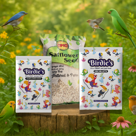 Birdie's Sunflower Seeds 500g + Safflower Seeds 1Kg + 1Kg Mix Millet (KANGANI) Birds (Lovebird, Budgies, COKATIEL, Parakeet, Conure, Cockatoo, Macaw & African Grey), 100% Natural.