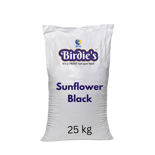 Birdie's Sunflower Black Seed, Bird Food for All Types of Birds, 25 kg Bulk Bag