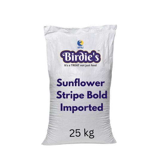 Birdie's Sunflower Stripe Bold Imported Seeds,Bird Food for All Types of Birds, 25 kg Bulk Bag