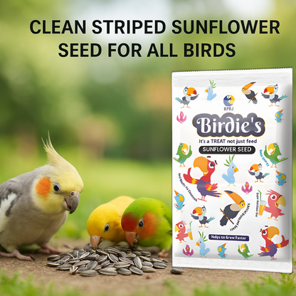 Birdie's Combo of Sunflower(Big Bird) 500g + 1 Kg Safflower Seeds Birds (Lovebird, Budgies, COKATIEL, Parakeet, Conure, Cockatoo, Macaw & African Grey), 100% Natural and Chemical Free