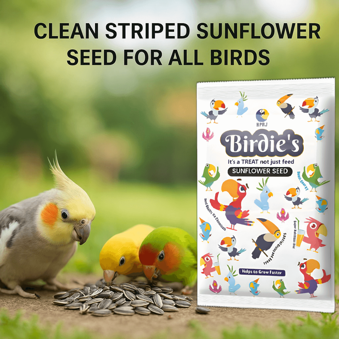 Birdie's Combo of Sunflower Seeds 500g + 1Kg Mix Seeds for Big Birds (Cockatoo, Macaw & African Grey), 100% Natural and Chemical Free, Veterinary Approved